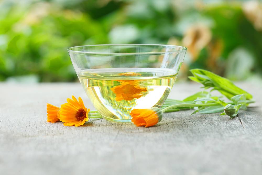 Чай из календулы: полезные свойства растения, возможный вред