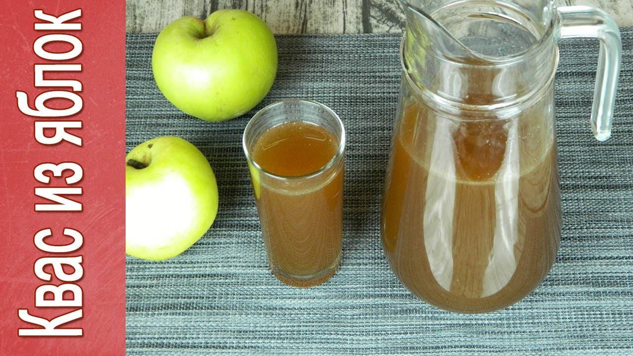 Как сделать яблочный квас в домашних условиях: рецепты, особенности приготовления