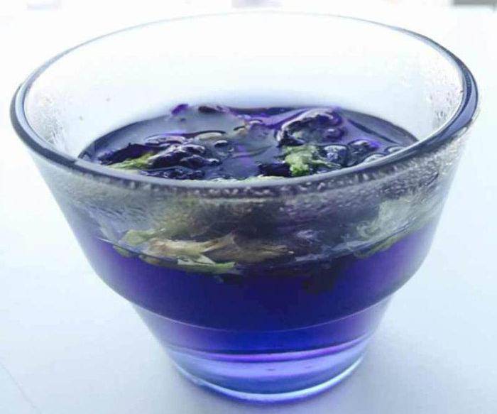 Полезные свойства синего тайского чая