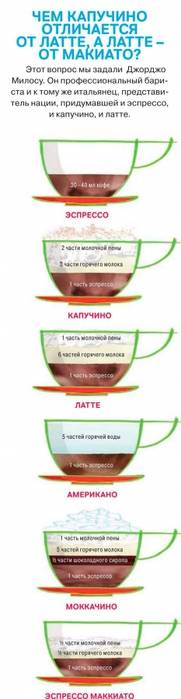 Основные отличия между латте и капучино, способы приготовления и подачи