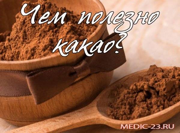 Какао-порошок — в чем его польза и рецепты какао