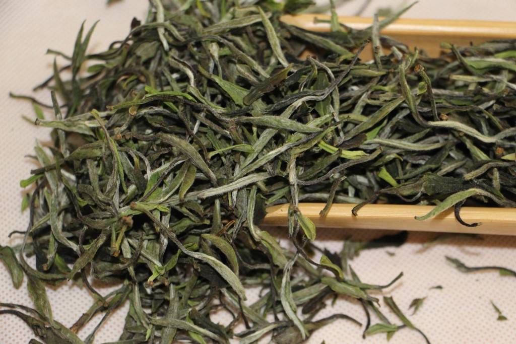 Свойства чая Бай Му Дань