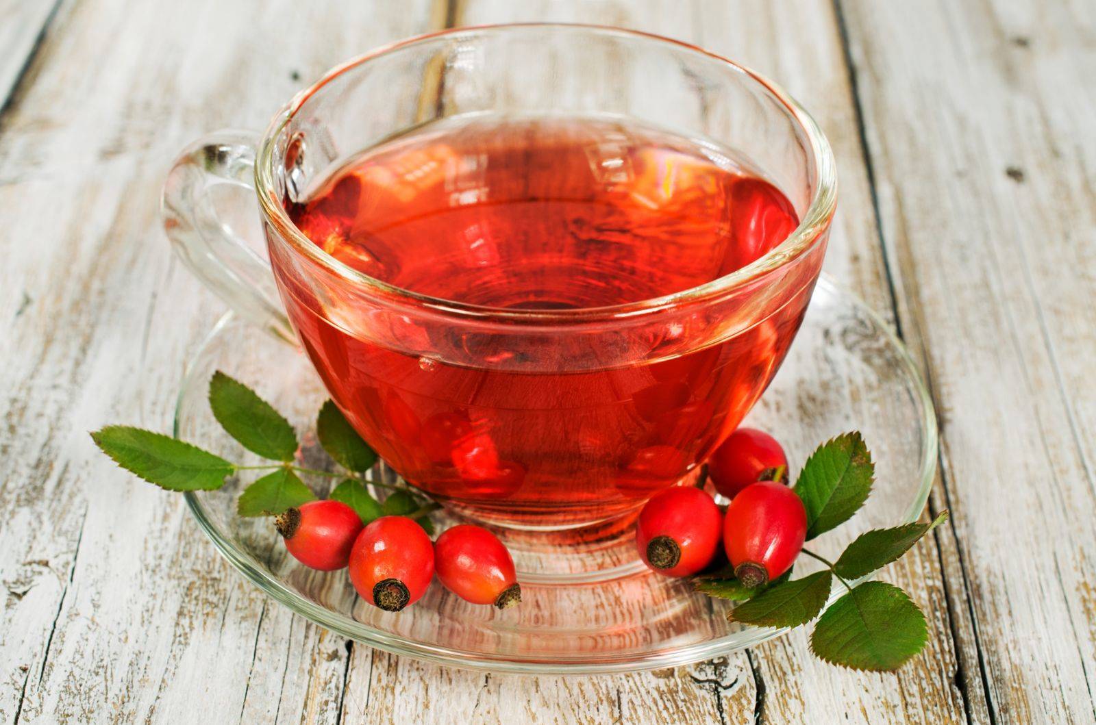 Чай с калиной: польза и вред, как заваривать и как пить