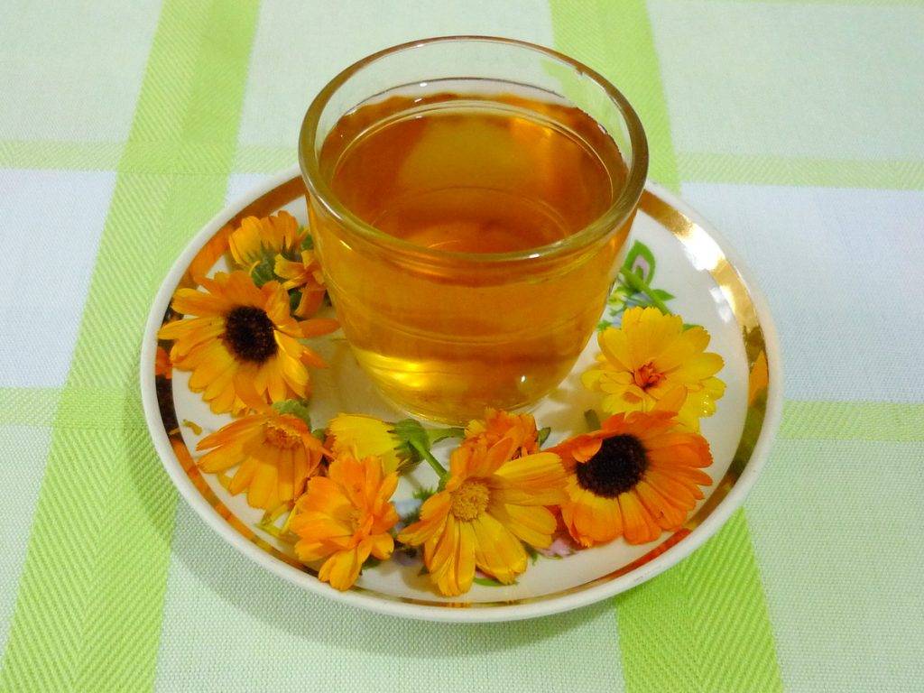 Чай из календулы: польза и вред | огородники