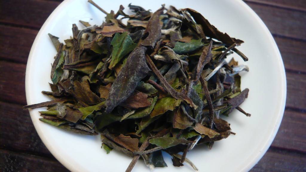 Описание зеленого чая Чжу Е Цин или «Свежесть бамбуковых листьев»