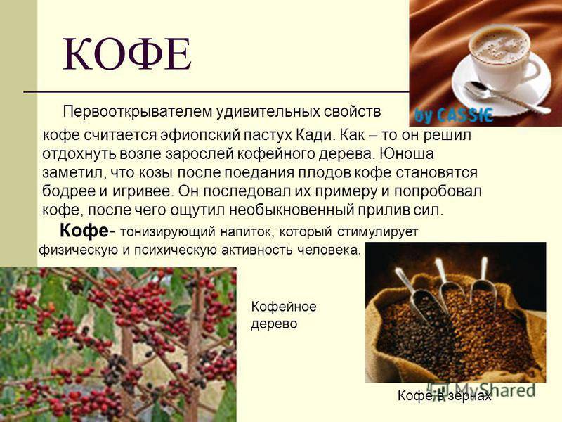 Кофе в россии – история и современность