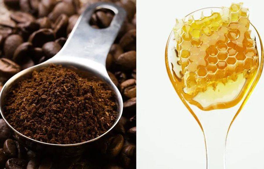 Кофе с медом: лучшие рецепты