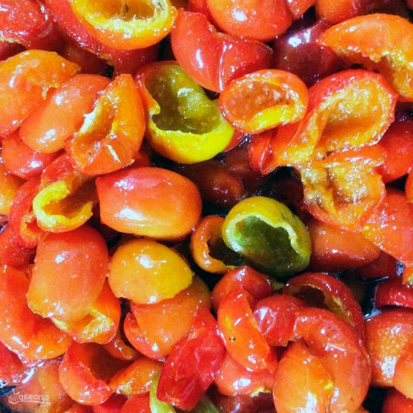 Как правильно сушить шиповник, чтобы сохранить все его свойства