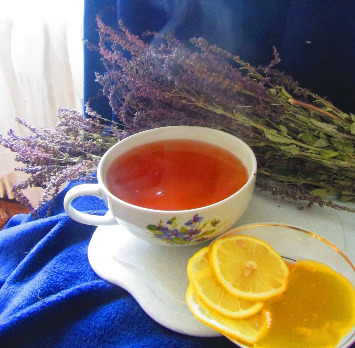 Чай из шалфея: польза и вред, как пить и заваривать