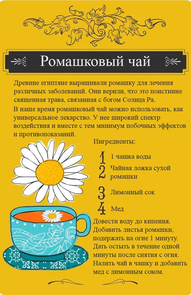 Ромашковый чай для грудничка: свойства и рецепты заваривания