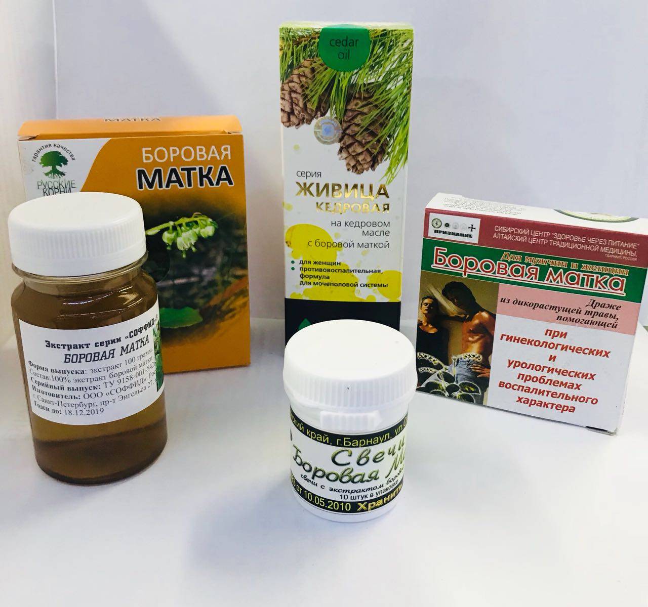 Боровая матка для женщин и мужчин
