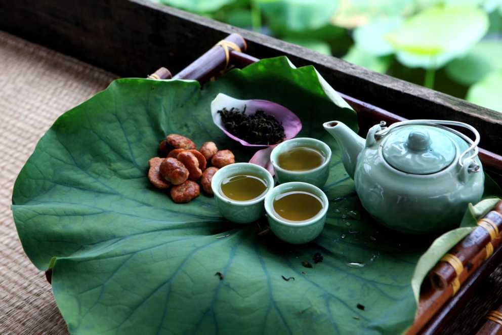 Чай с лотосом: польза, показания и противопоказания