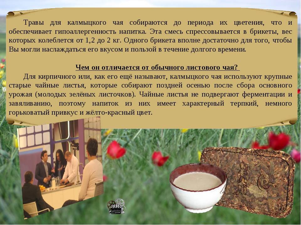 Калмыцкий (калмыкский) чай: польза и вред, рецепты приготовления, состав
