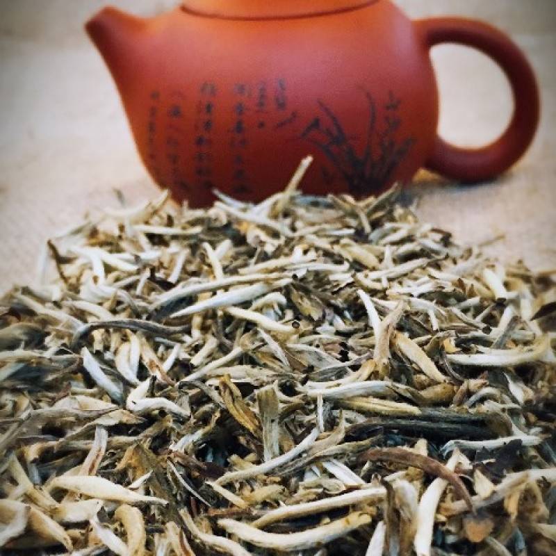 Чай бай хао инь чжень или серебряные иглы и его свойства