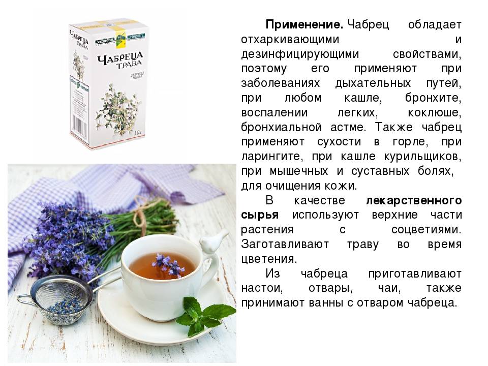 7 рецептов душистого чая с шалфеем: польза и противопоказания