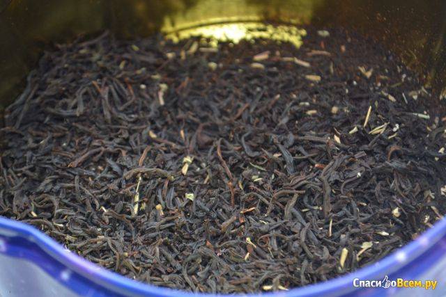 Зеленый байховый чай: польза и вред, виды, изготовители