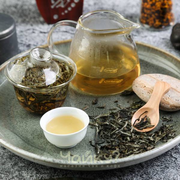 Чай серебряные иглы — элитный белый чай с удивительным ароматом