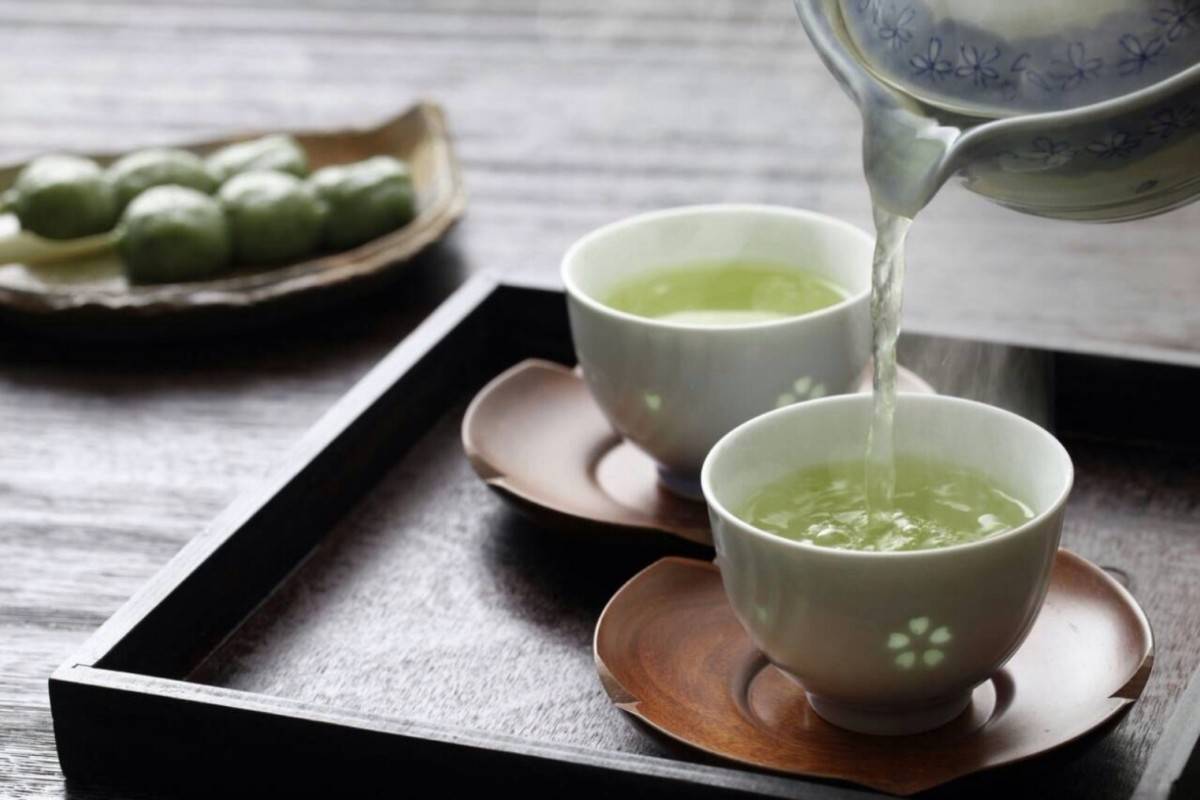 Габа чай — полезные свойства, советы заваривания