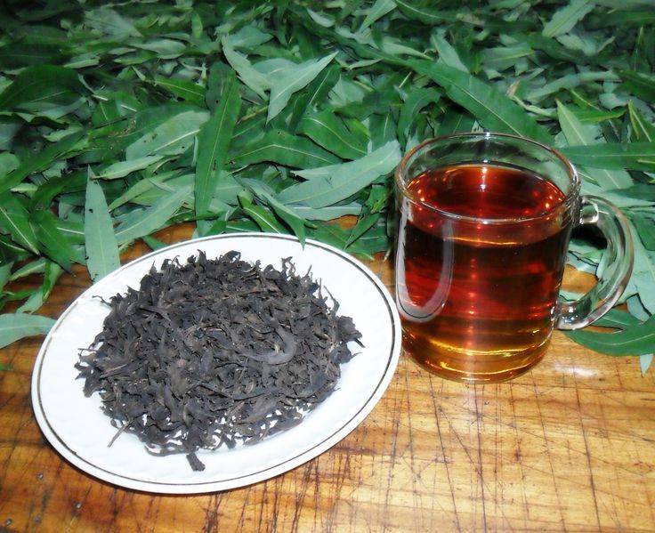 Как приготовить чай в домашних условиях из иван чая в домашних условиях