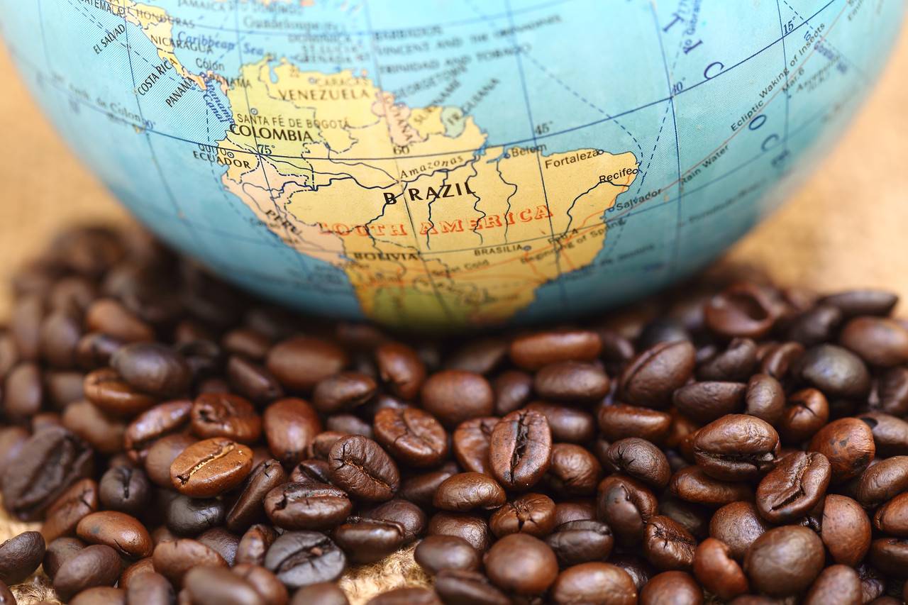 Кофе из бразилии: сорта, какой лучше выбрать (сантос, рио, минас)
