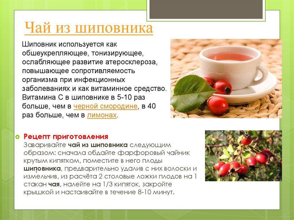 11 полезных свойств ромашкового чая для лица, волос и здоровья в целом
