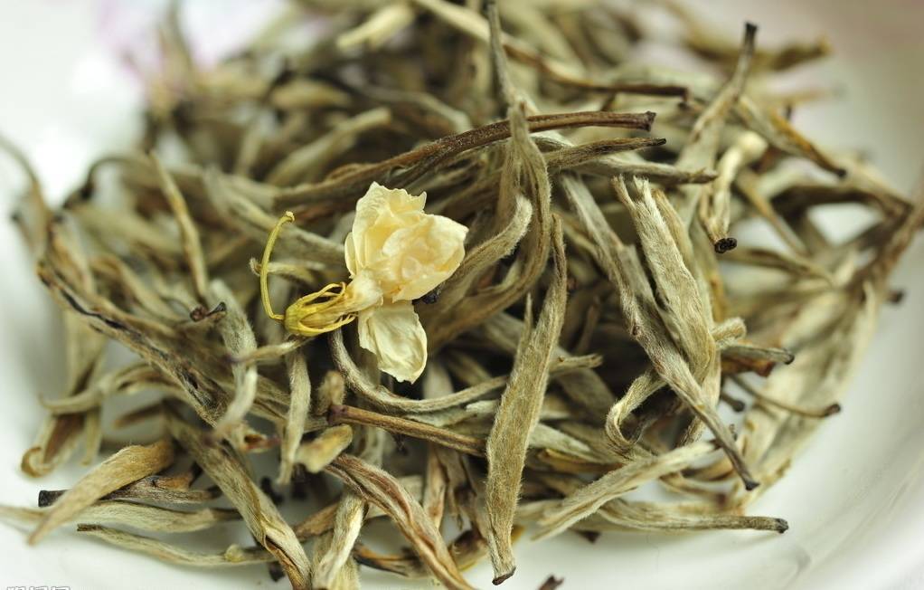 Жасминовый чай зеленый: польза и вред, полезные свойства