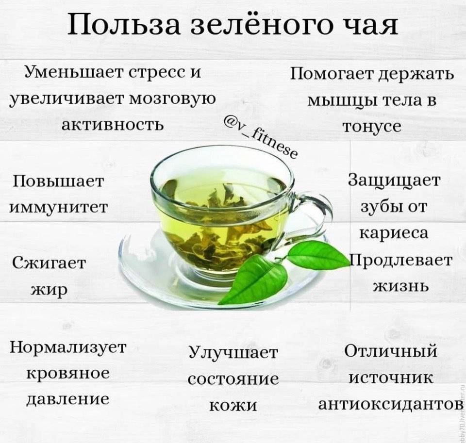 Чай: польза и вред для здоровья организма