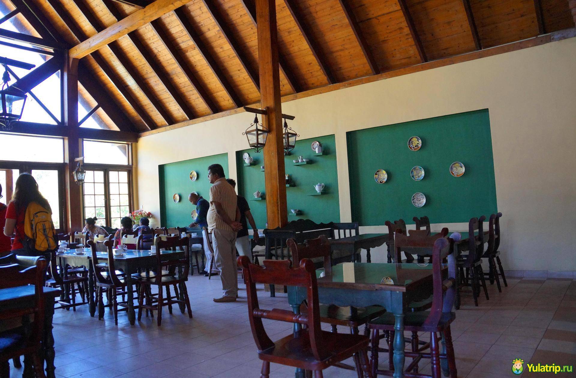 Лучшие чайные плантации мира – чай не ведает границ