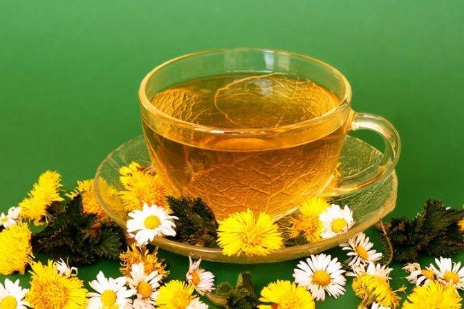 Эффективные чаи для похудения: травяной, мочегонный, очищающий - рецепты