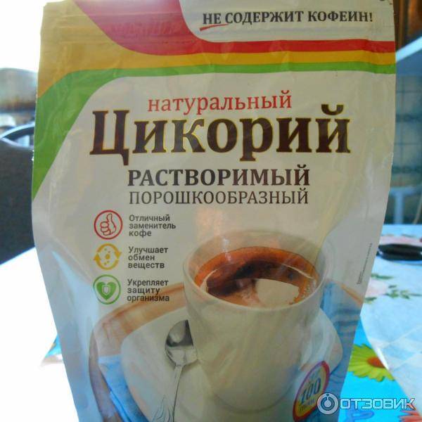 Цикорий вместо кофе: польза и вред, рецепты
