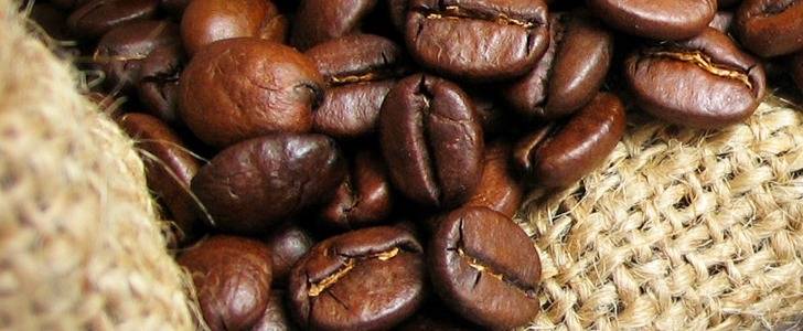 Классификация и характеристика ассортимента кофе и кофейных напитков - товароведная характеристика кофе