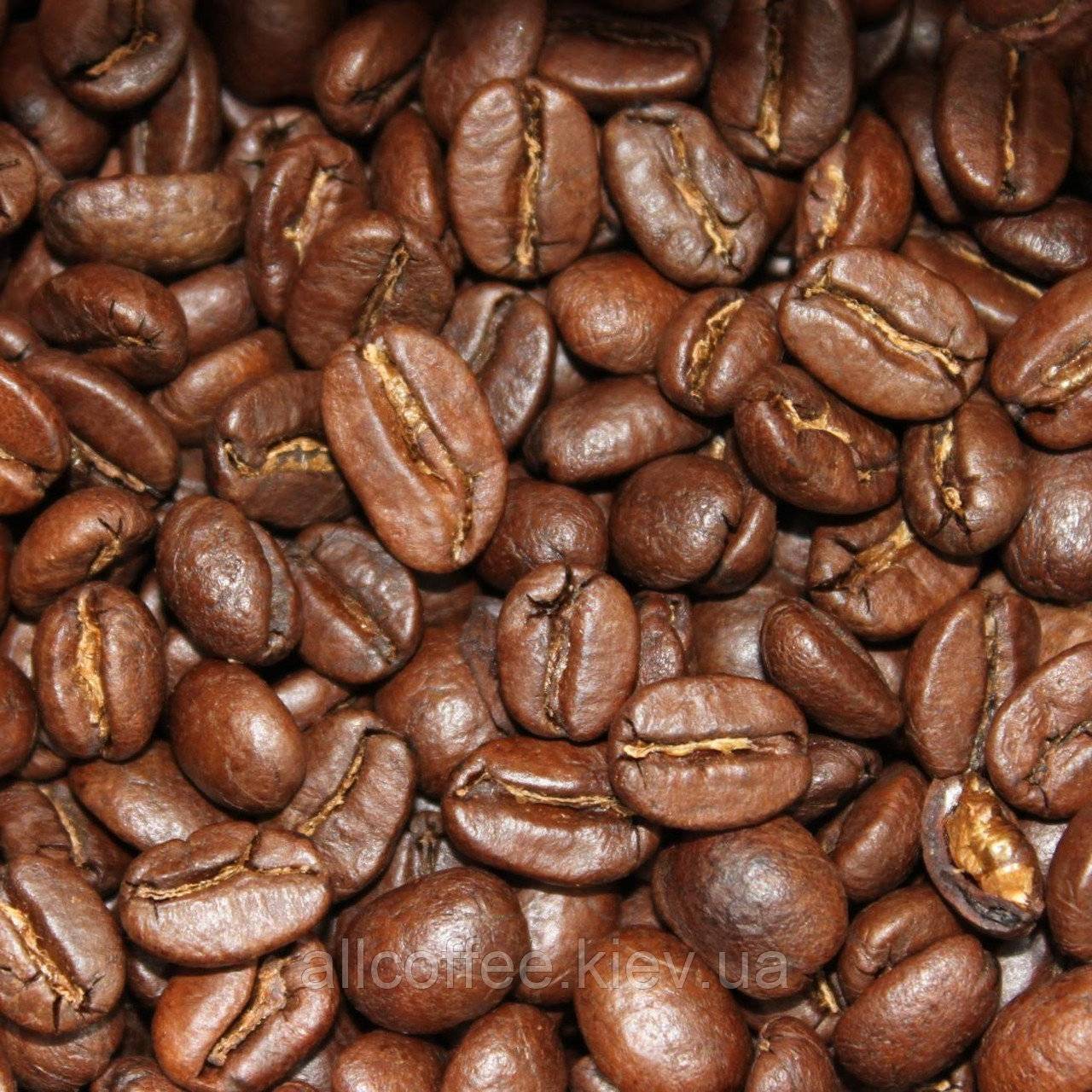 Сорта кофе в зернах: робуста и арабика – в чем разница? от эксперта