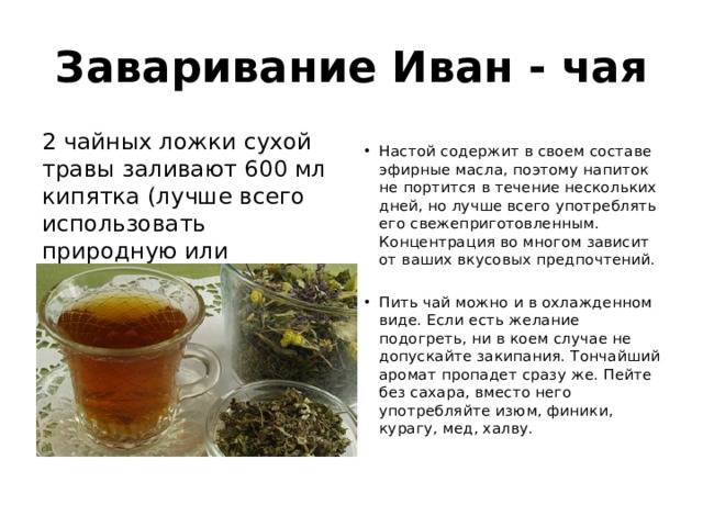 Иван чай:  полезные лечебные свойства и противопоказания, применение, как правильно заваривать и пить
