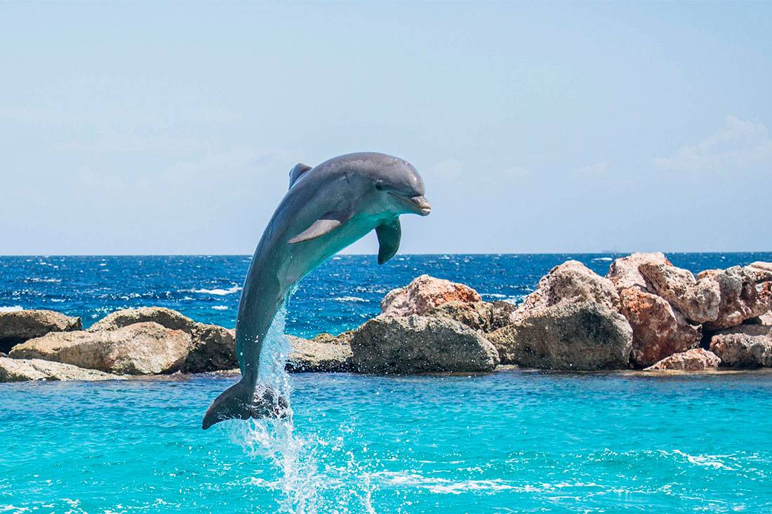 Гибралтар (Gibraltar)