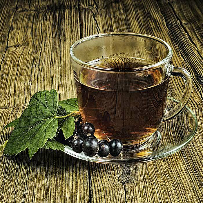 Лист смородины черной - польза и вред чая и компота, как заваривать