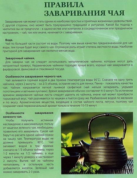 Зеленый чай для лица: полезные свойства, особенности заваривания и противопоказания