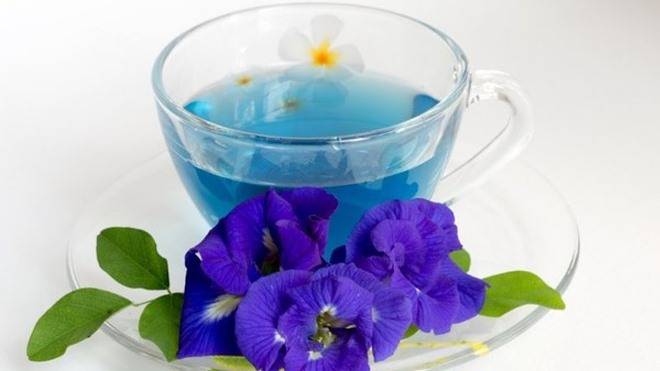 Свойства синего чая из Тайланда и правила заваривания