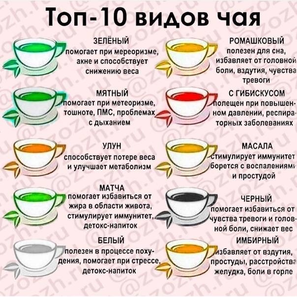 Как правильно заваривать чай? сорта чая. польза и вред чая