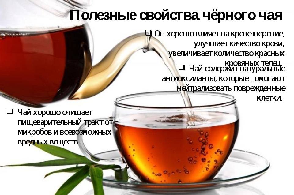 Монастырский чай от паразитов: отзывы врачей, состав, правда или развод