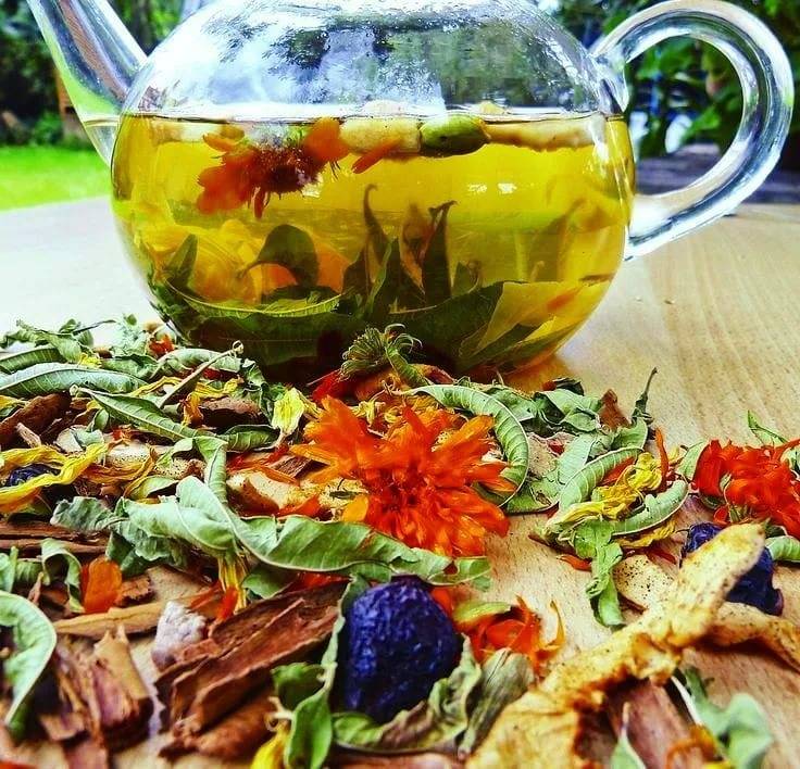 7 проверенных рецептов травяного чая от кашля