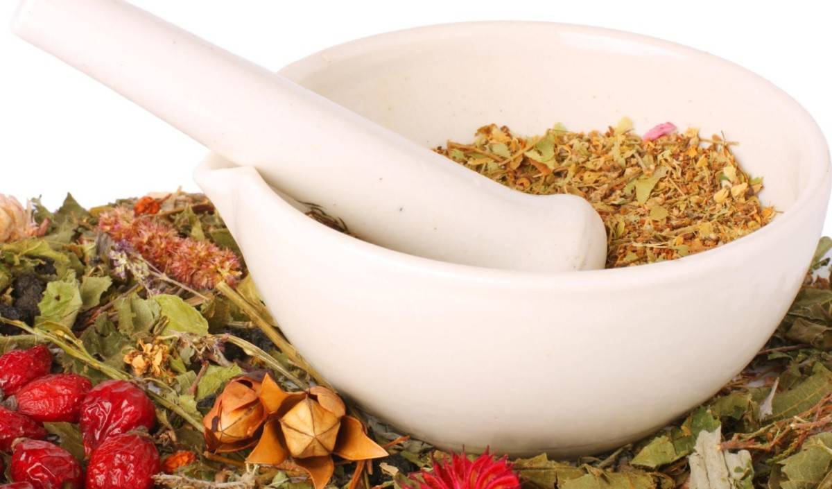 5 отличий ферментированного чая от заварки, не прошедшей ферментацию