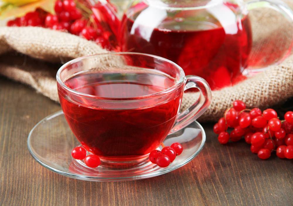 Чай с калиной: полезные свойства, 6 рецептов заваривания, вред и противопоказания