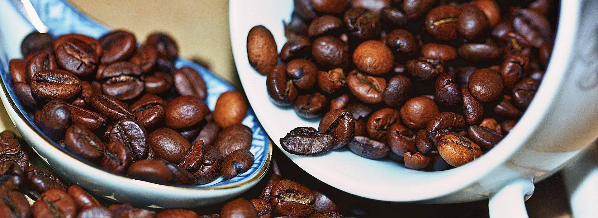 Кофе из доминиканы: особенности, лучшие сорта