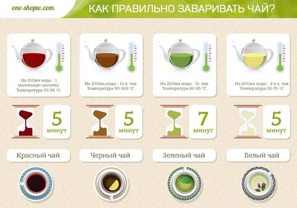 Как правильно заваривать чай: этапы и правила заваривания чёрного и зелёного чая