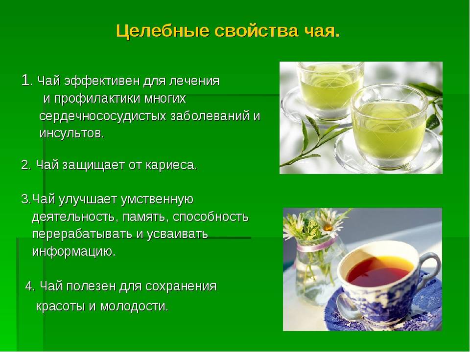 Как правильно заваривать зеленый чай и сколько раз можно это делать