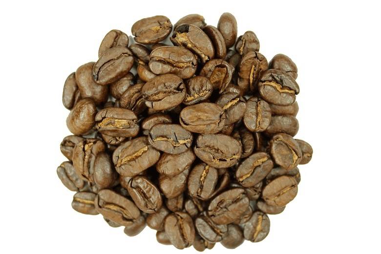 Кофе марагоджип: описание и особенности сорта арабики