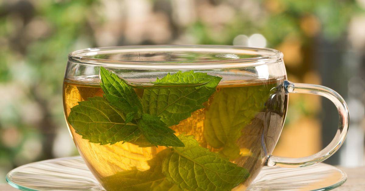 Чай с базиликом: польза и вред, рецепты, а также можно ли заваривать и как готовить?
