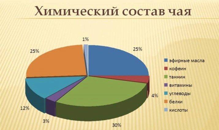 4 полезных свойства зелёного чая, которые делают его незаменимым при грудном вскармливании