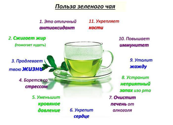 Зеленый чай для похудения - рецепты, диета, советы