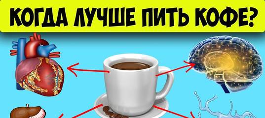 5 причин, почему нельзя пить кофе на пустой желудок :: инфониак